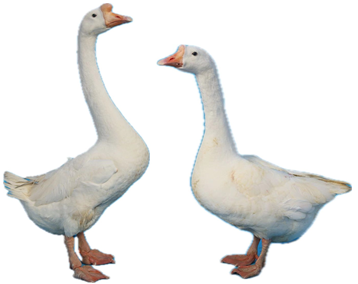1744166041310.png
